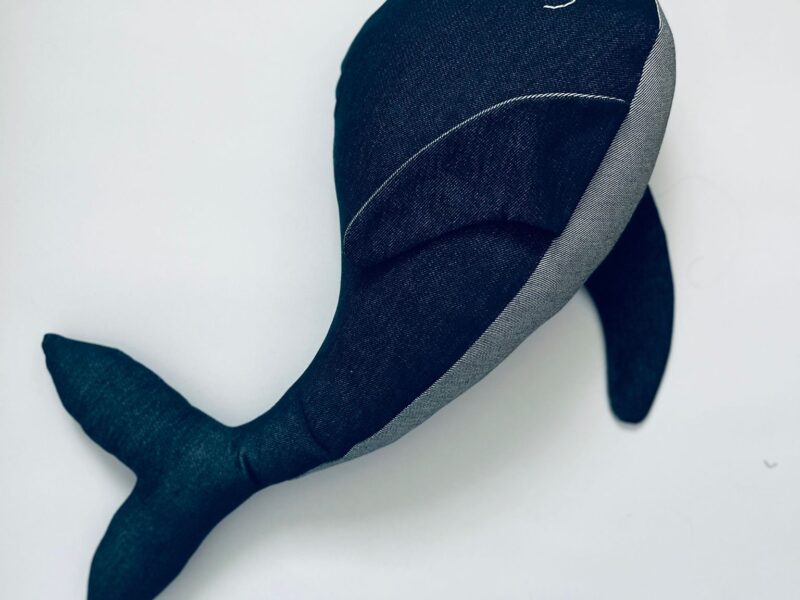 חיות ג׳ינס Denimyoutable X Sonovia